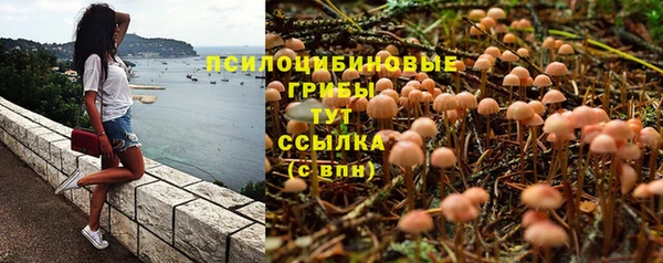 мдпв Костерёво