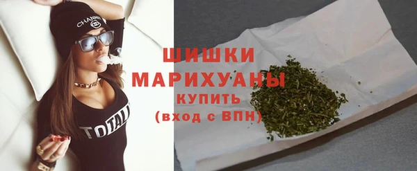 мдпв Костерёво