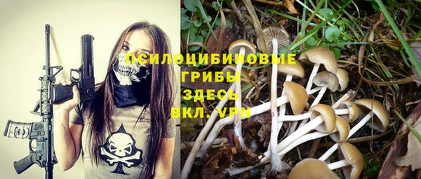 MDMA Лагань