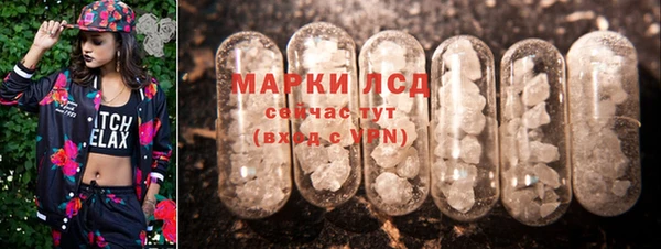 PSILOCYBIN Ижевск