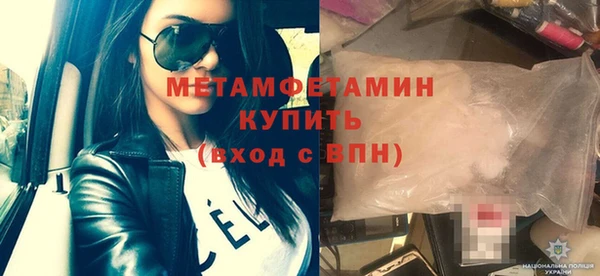 прущие грибы Коряжма